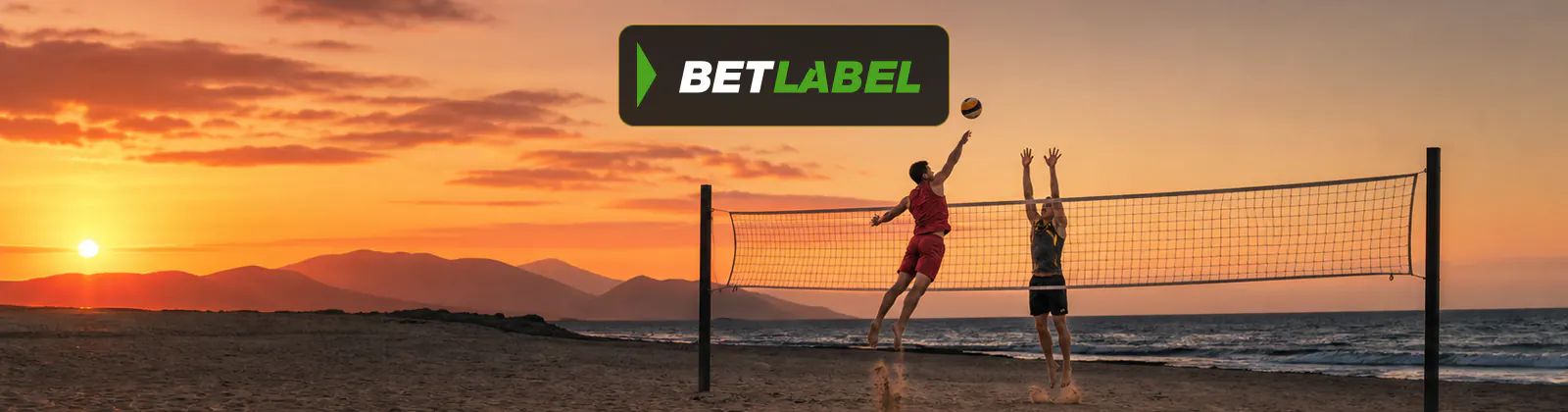 Jugadores adultos de voleibol en el centro de un pabellón español